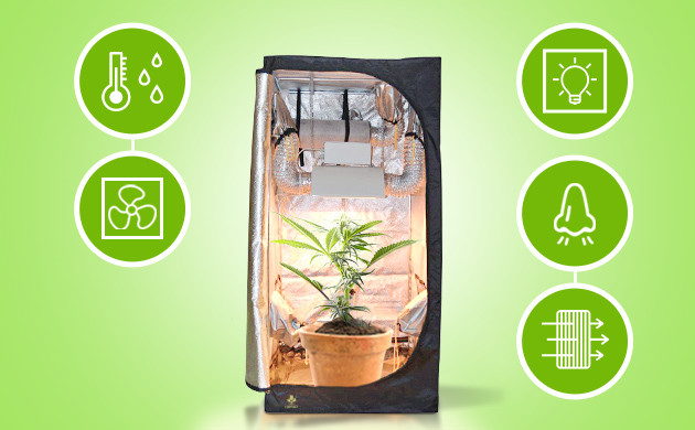 Необходимое оборудование для цветения конопли Благоустраивание бокса для цветения