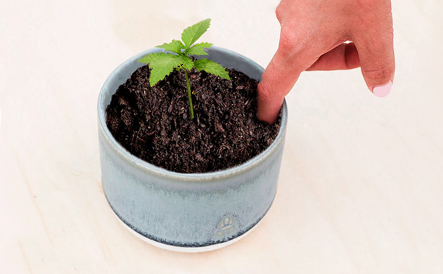 Контроль влажности пальцем