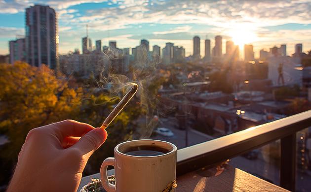 Вкус, эффект и легализация каннабиса Эволюция рекреационного каннабиса в Европе