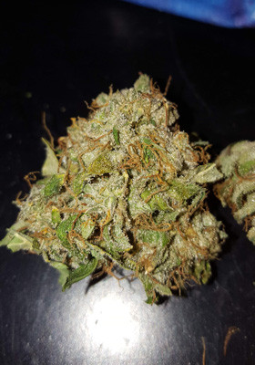 Эффект от шишек Auto White Widow Шишка Auto White Widow после сушки