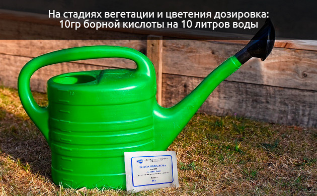 Как устранить недостаток бора у каннабиса Как устранить дефицит бора у конопли