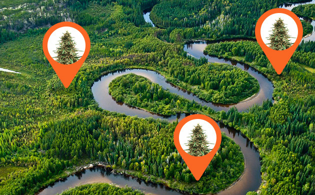 Участки для аутдорного выращивания Места для выращивания вблизи реки