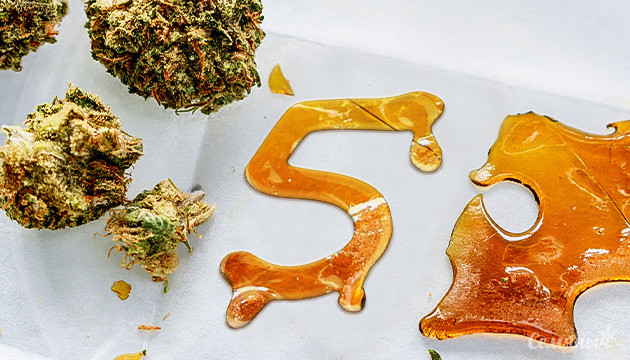 Топ способов экстракции в 2024 Производство концентратов конопли в 2024