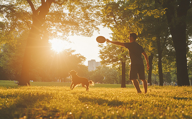 Каннабихромен: противовоспалительные свойства КБХ и его лечебные эффекты