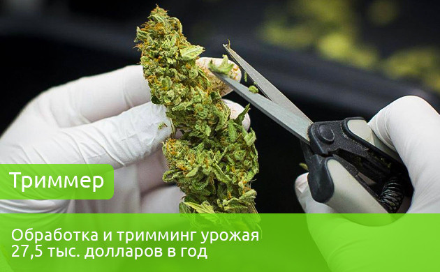 Триммер собранного урожая Зарплата триммера 27,5 тыс. долларов в год