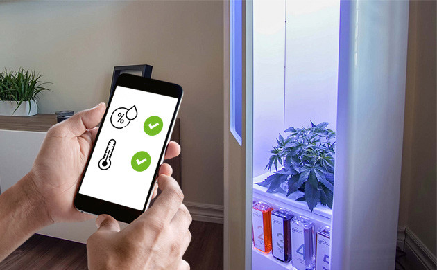 Зачем нужна вентиляция гроурума Влажность и температура в гроубоксе