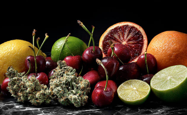 Терпеновый профиль Cherry Runtz Терпены каннабиса Cherry Runtz