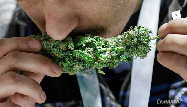 Как сохранить аромат шишек марихуаны