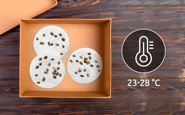 Температуры для проращивания семян Необходимая температура на стадии проращивания