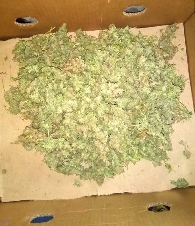 Полученный урожай и эффект от сорта Собранный урожай