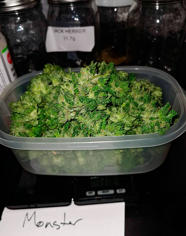 Впечатления гровера Харвест