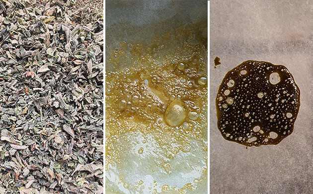 Сравнение экстракта с высушенным растительным материалом Экстракт и высушенный растительный материал: сравнительный анализ