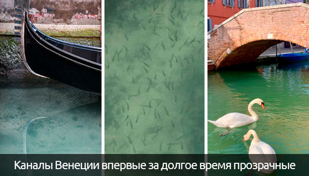 Туризм перестал влиять на экологию Каналы Венеции стали прозрачными