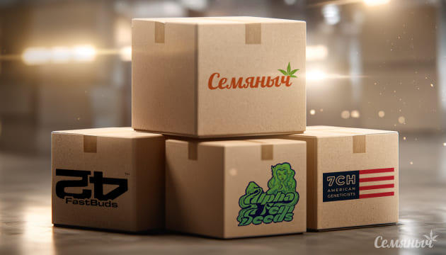 Пополнение запасов семян конопли Поступление семян конопли