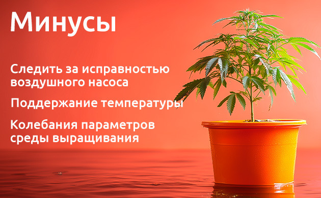 DWC: недостатки системы и способы их устранения DWC: недостатки и как их избежать