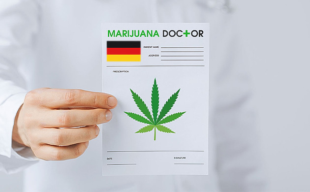 Использование немцами медицинской марихуаны Медицинское использование марихуаны в Германии