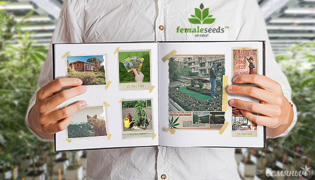 Успех бридера Female Seeds Обзор на сидбанк Female Seeds