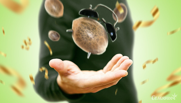 Автоцветущие семена от Семяныча Автоцветы Семяныча