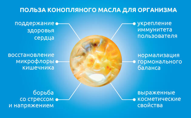 Польза конопляного масла для организма и иммунитета
