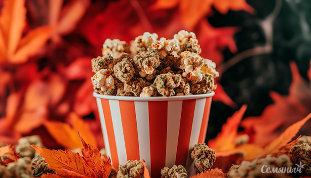 Киновечер осенних фильмов на Семяныче Киновечер для осенней атмосферы