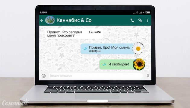 Лучшие соседи марихуаны Компаньоны для конопли