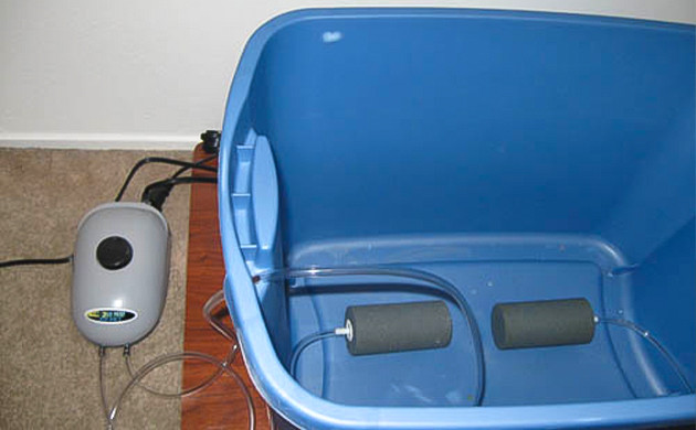 Воздушный насос в DWC: как избежать проблем с кислородом Как выбрать воздушный насос для системы DWC