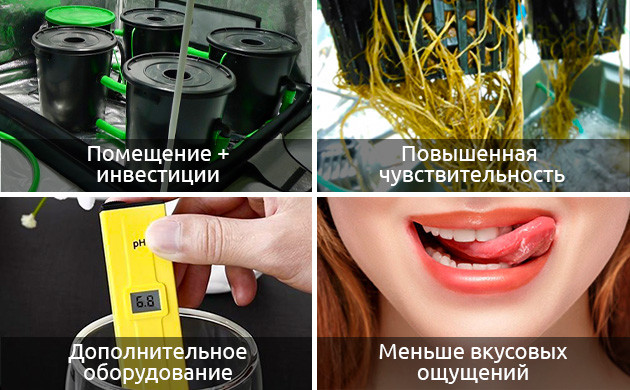 Недостатки гидропонного выращивания Минусы гидропонного выращивания