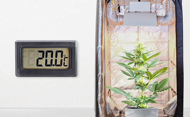 Гроубокс в прохладном помещении Температура воздуха в помещении с гроубоксом