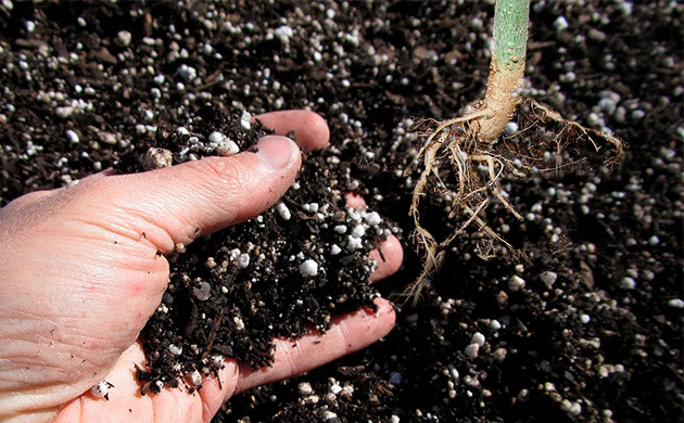 Дополнительное количество субстрата