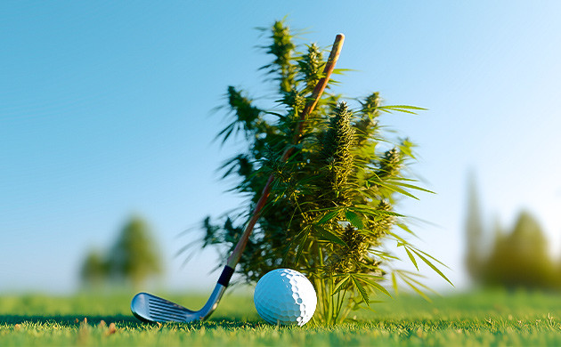 Гольф и марихуана: идеально для неспешных и расслабленных игр Медитативный гольф с каннабисом