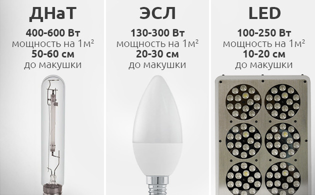 Параметры ДНаТ, ЭСЛ и LED ламп Лампы для выращивания автоцветов