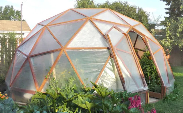 Сборный тип теплицы Теплица в виде купола