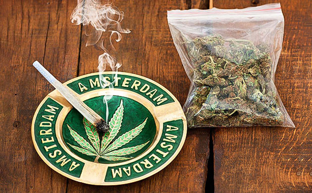 История основания Female Seeds Подробнее о создании Female Seeds