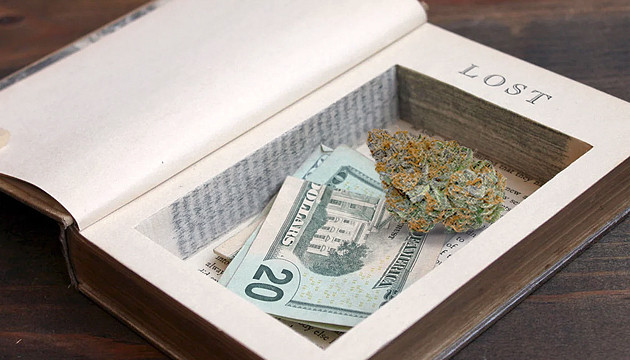 Положить шишки в специальную книгу Хранение в книге