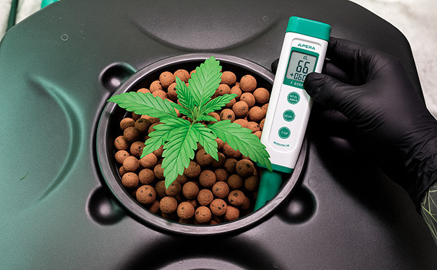 Влияние колебаний pH на рост конопли Колебания pH в гидропонике