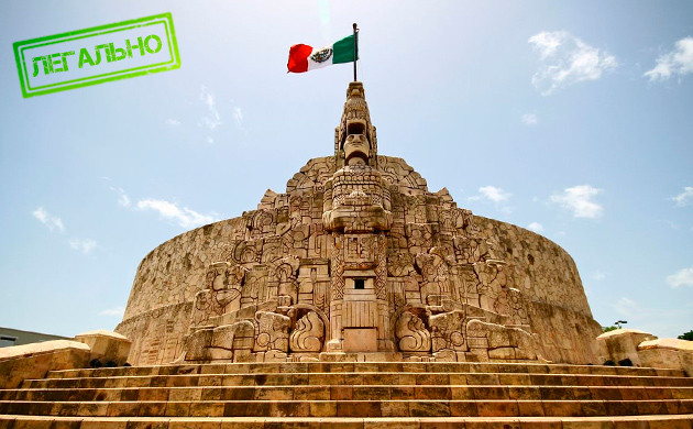 Легален ли каннабис в Мексике Статус каннабиса в Мексике