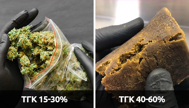 Разница эффекта воздействия ТГК в шишках и в хеше