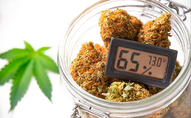 Химия пролечки: что происходит с бутонами Пролечка каннабиса: наука за процессом