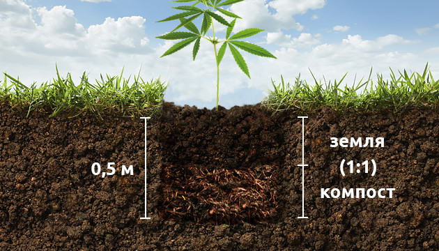 Посадка в яму с заранее подготовленной почвосмесью Почвосмесь для выращивания в ауте