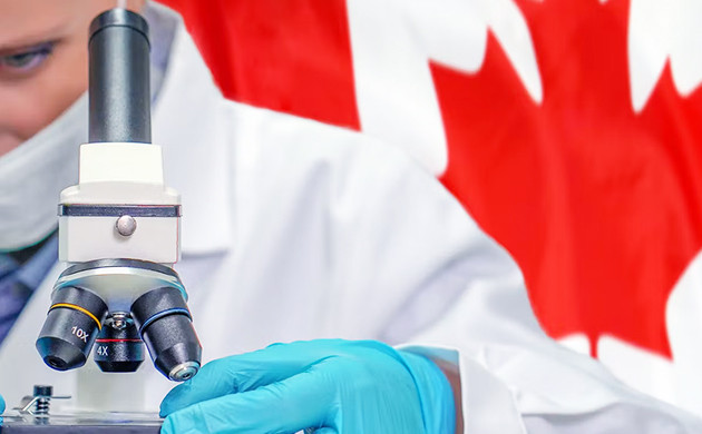 Исследование медицинской марихуаны в Канаде Канадские исследования