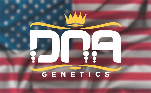 Нишевые бренды: DNA Genetics, LIT Farms, Inhouse Genetics, Capulator, Seed Junky Genetics Нишевые компании-бриллианты