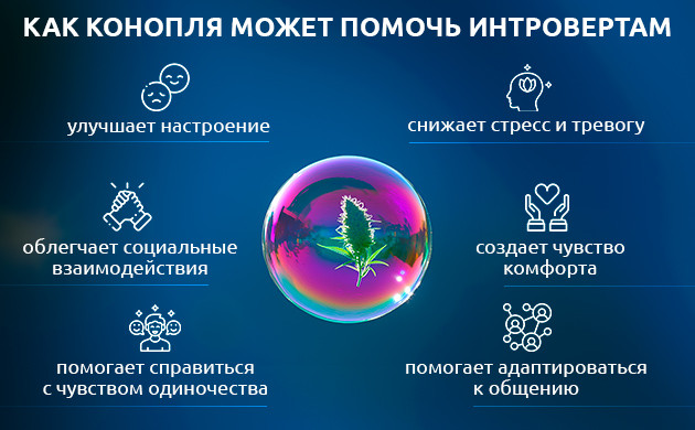 Конопля и поддержка интровертов Эмоциональная поддержка интровертов каннабисом