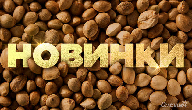 5 новых сортов от Семяныча Новинки от Семяныча