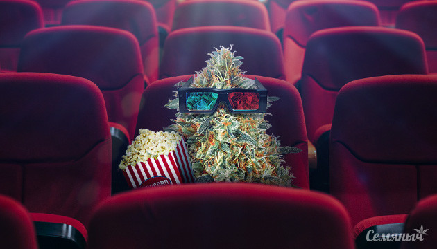 Сорта конопли для просмотра кино Конопля в кино