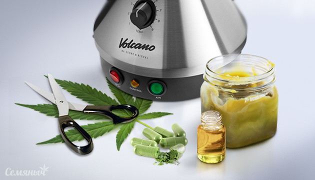 Как использовать листья марихуаны Листья каннабиса