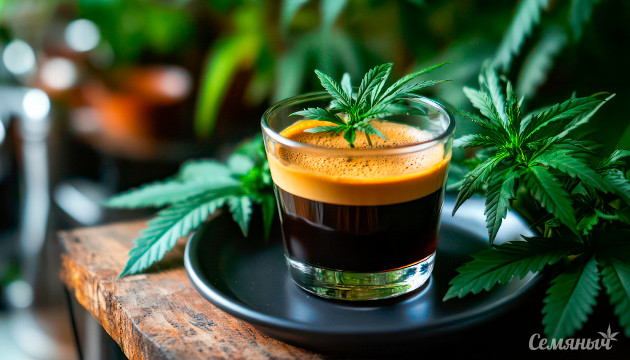 Напитки с ТГК становятся популярнее Кост популярности канна-напитков