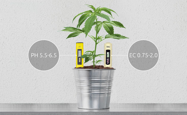 Показатели кислотности и электропроводимости почвы для конопли Кислотность и электропроводимость почвы