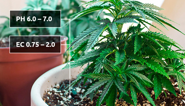 Показатели кислотности и электропроводности почвы