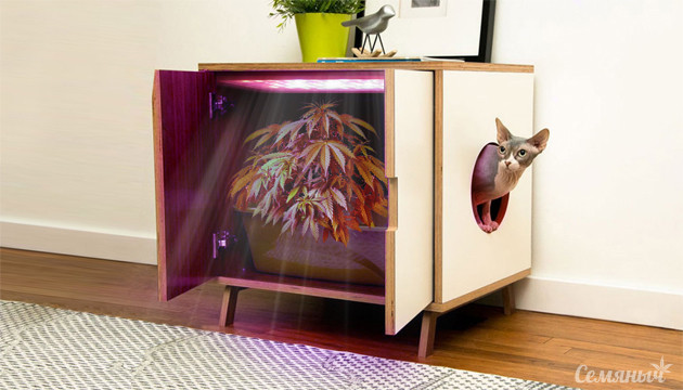 Выращивание марихуаны методом микрогровинга Микрогровинг конопли