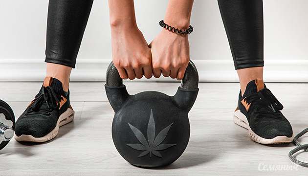 Мощные сорта конопли Физическая нагрузка и каннабис